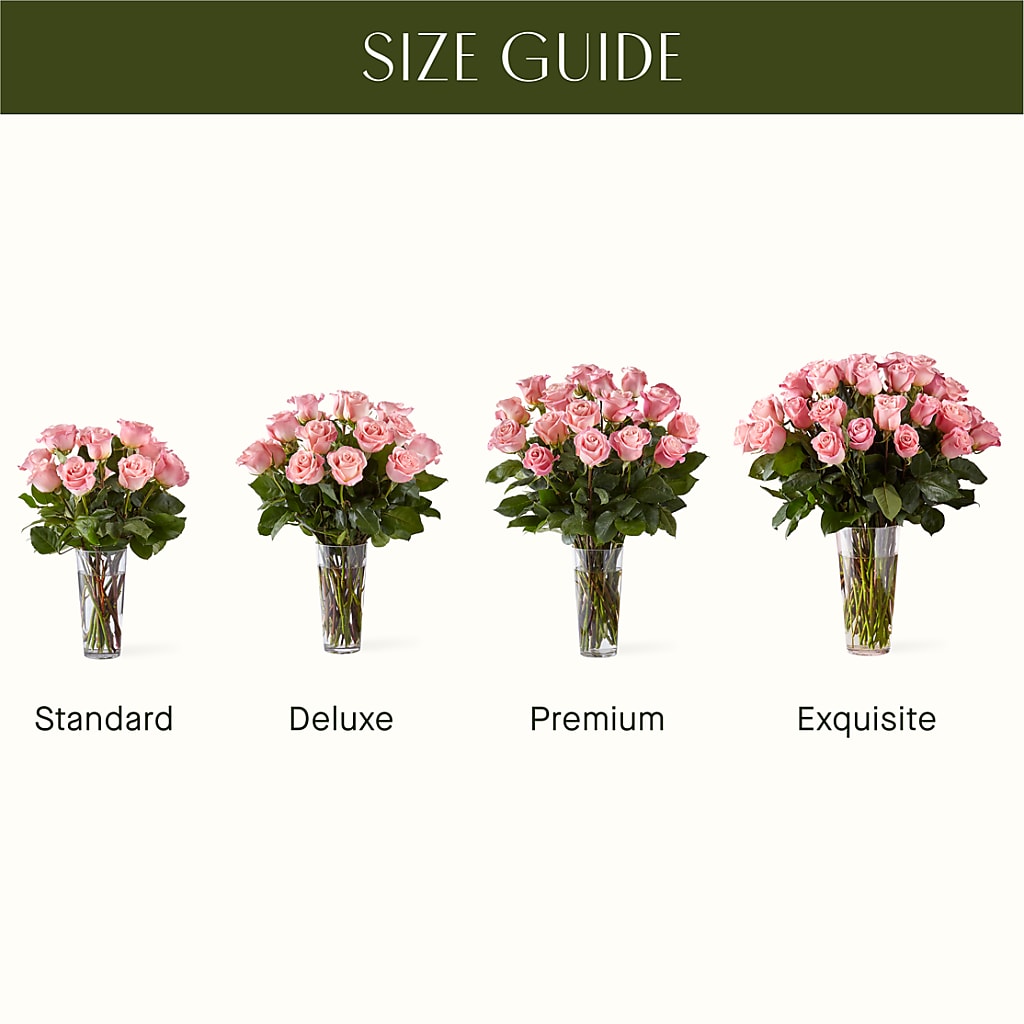 Long Stem Pink Rose Bouquet – LESLIE'S FLOWERS & PARTY SUPPLIES, Howell NJ