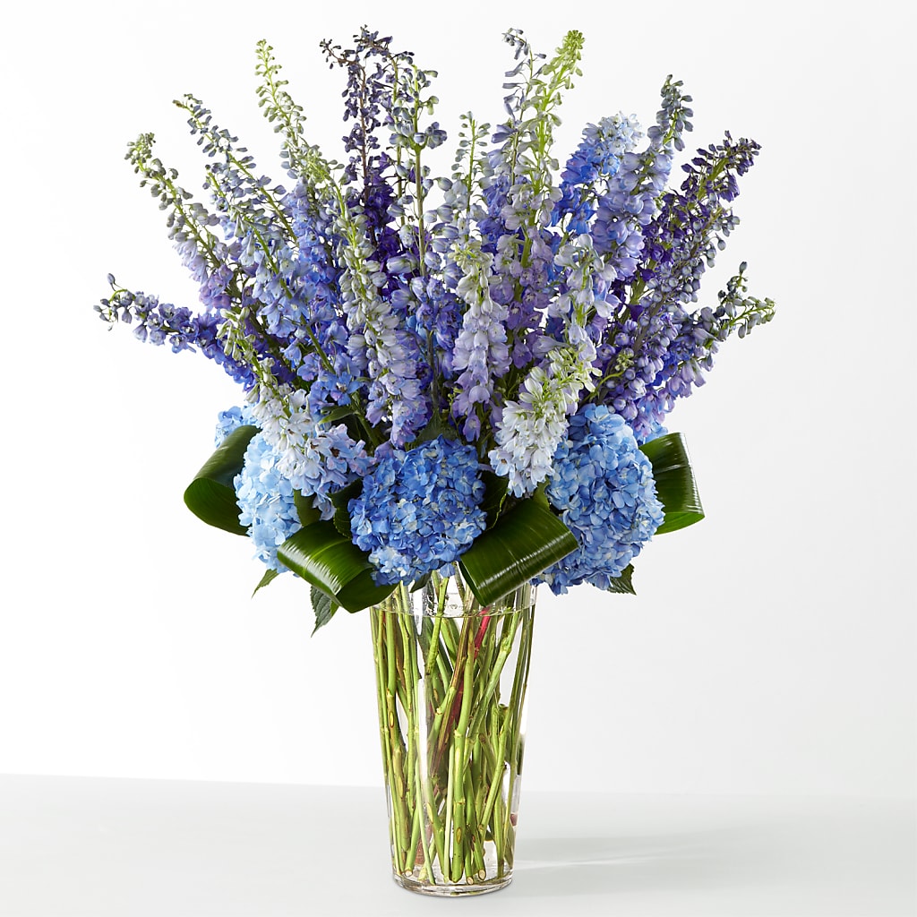 The Editorial – LESLIE'S FLOWERS & PARTY SUPPLIES, Howell NJ
