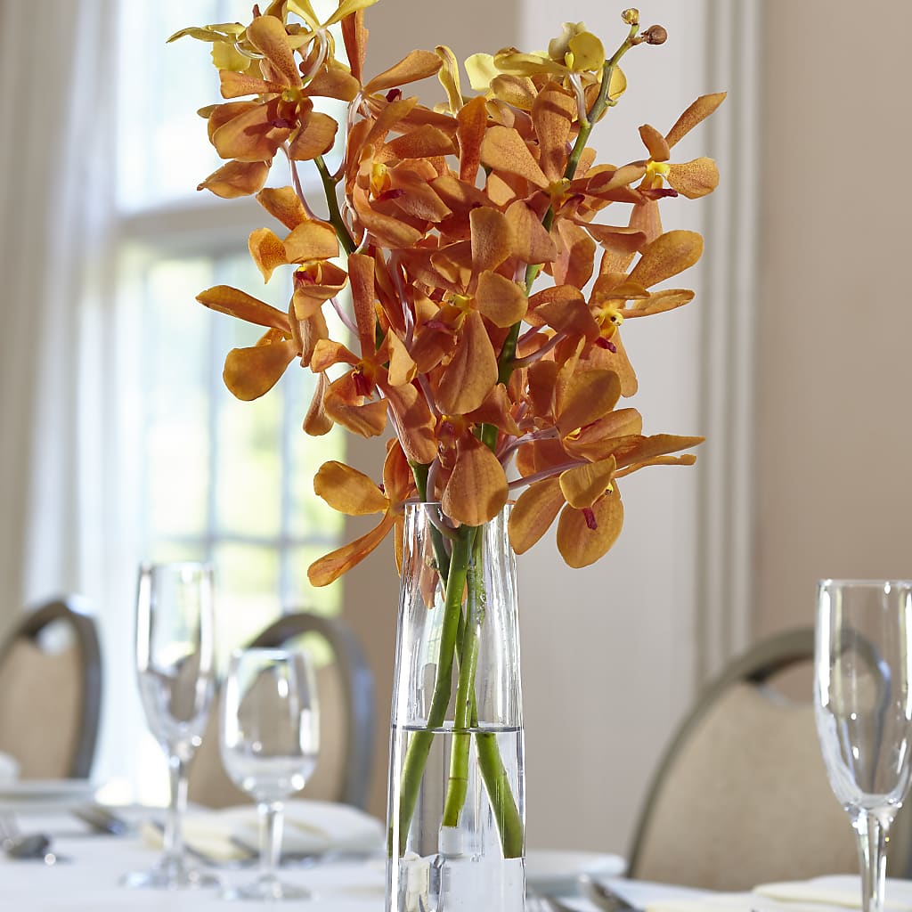 Orange Mokara Bud Vase – LESLIE'S FLOWERS & PARTY SUPPLIES, Howell NJ