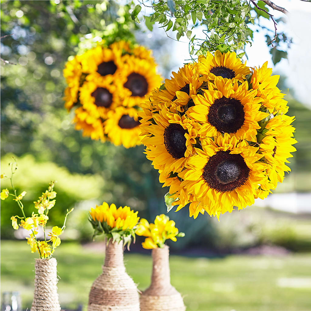 Sublime Garden Hanging Arrangement – LESLIE'S FLOWERS & PARTY SUPPLIES, Howell NJ