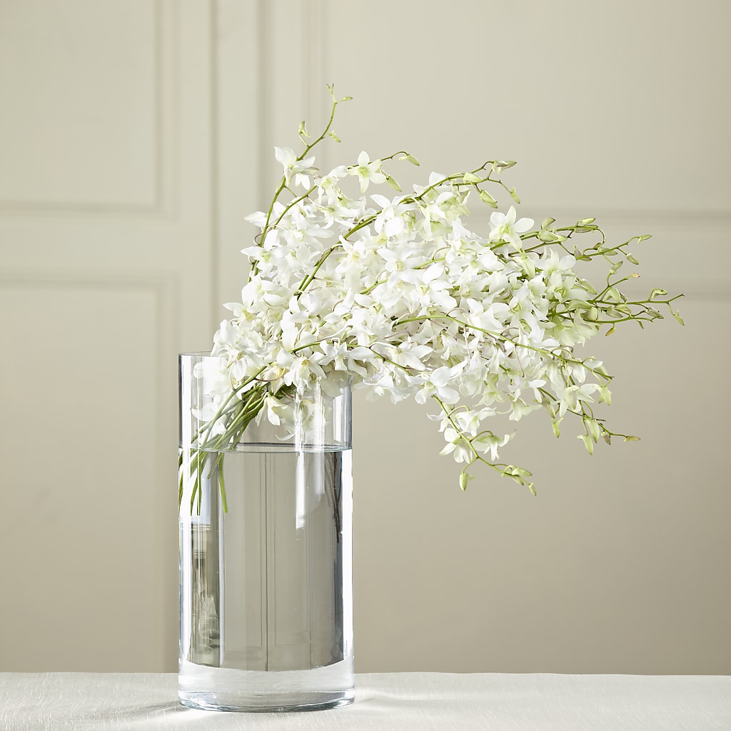 White Dendrobium Bouquet – LESLIE'S FLOWERS & PARTY SUPPLIES, Howell NJ