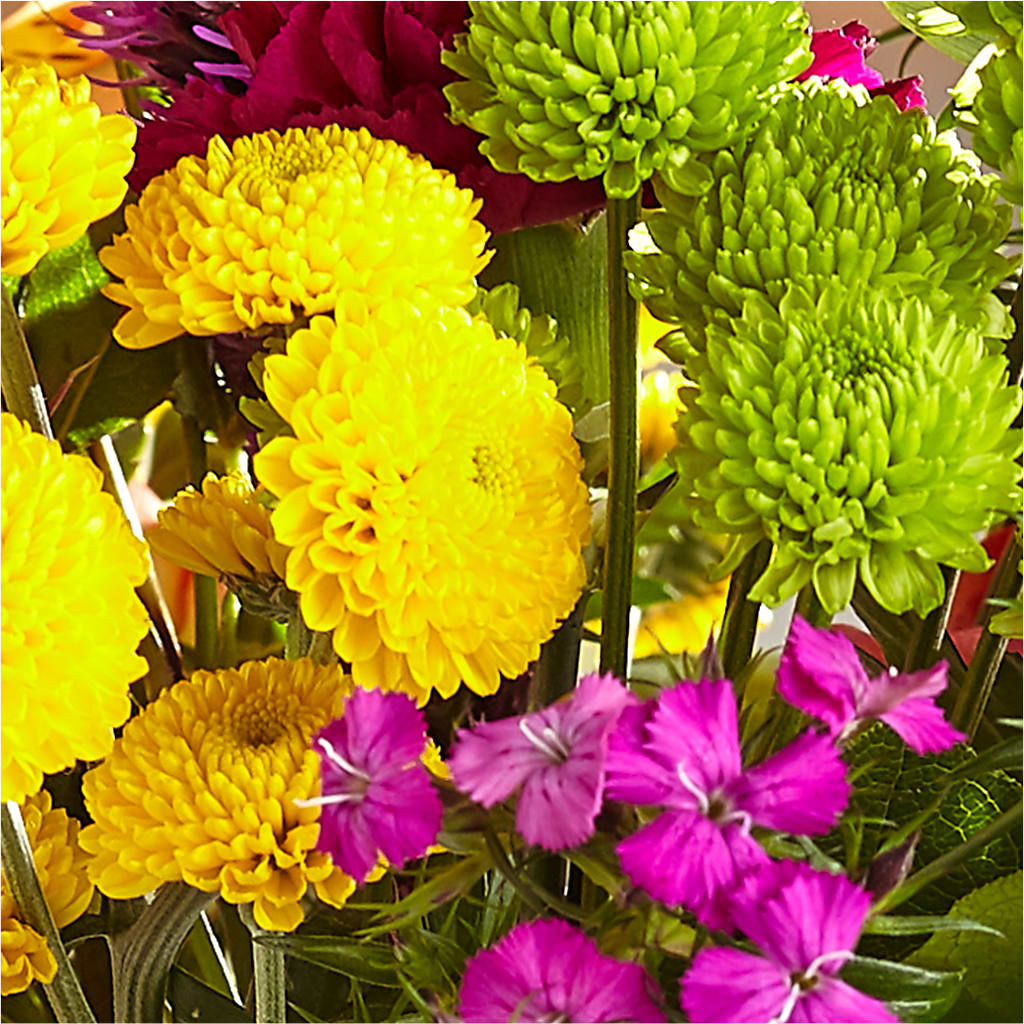 Bold & Bright – A Florist Original – LESLIE'S FLOWERS & PARTY SUPPLIES, Howell NJ