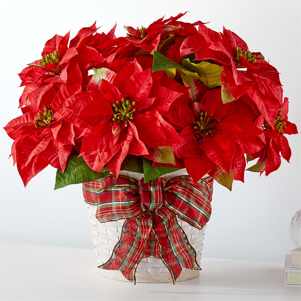 Happiest Holidays Poinsettia – LESLIE'S FLOWERS & PARTY SUPPLIES, Howell NJ