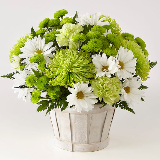 Lucky Charm Basket (Standard) – LESLIE'S FLOWERS & PARTY SUPPLIES, Howell NJ