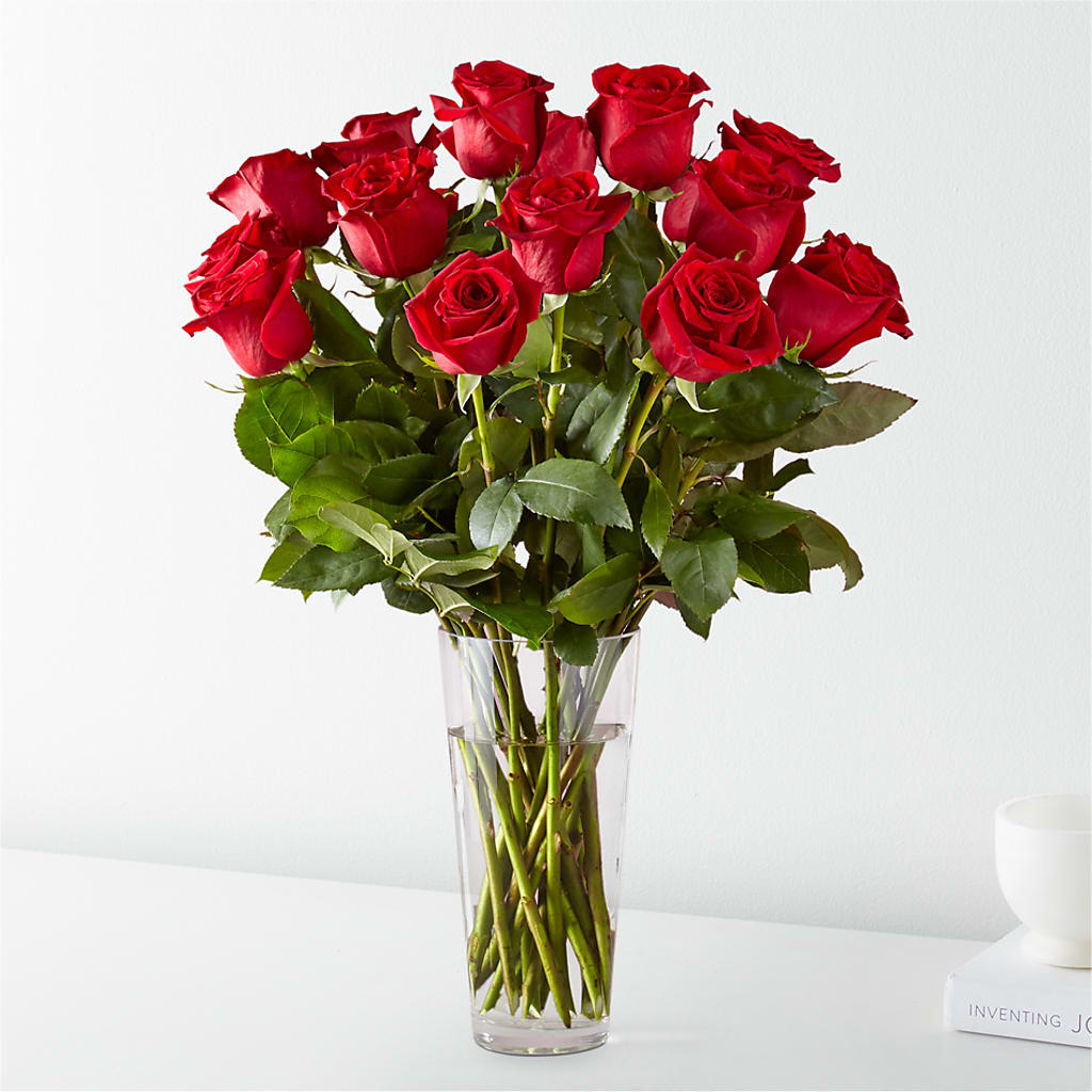 Long Stem Red Rose Bouquet – LESLIE'S FLOWERS & PARTY SUPPLIES, Howell NJ