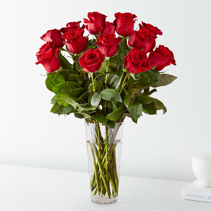 Long Stem Red Rose Bouquet – LESLIE'S FLOWERS & PARTY SUPPLIES, Howell NJ