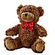 Adorable Plush Bear – LESLIE'S FLOWERS & PARTY SUPPLIES, Howell NJ