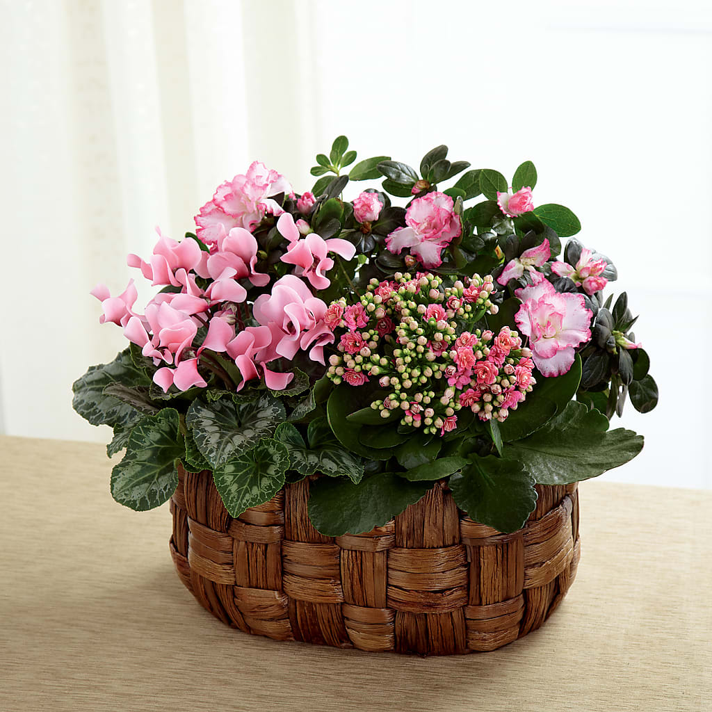 Pink Assortment – LESLIE'S FLOWERS & PARTY SUPPLIES, Howell NJ