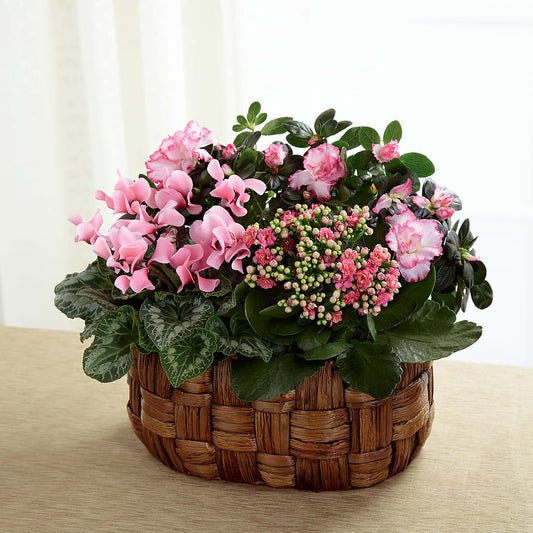 Pink Assortment – LESLIE'S FLOWERS & PARTY SUPPLIES, Howell NJ