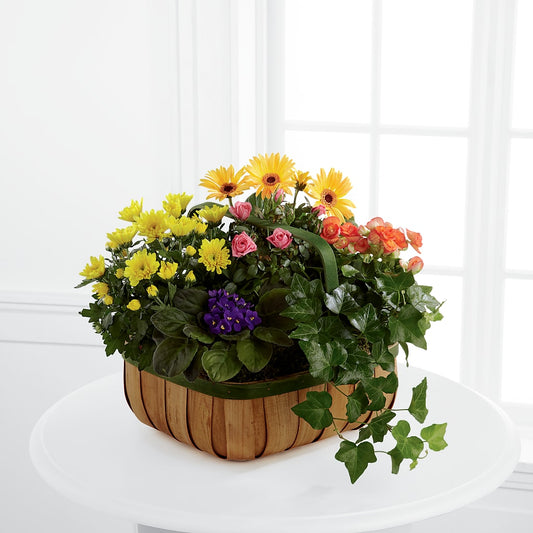 Gentle Blossoms Basket – LESLIE'S FLOWERS & PARTY SUPPLIES, Howell NJ