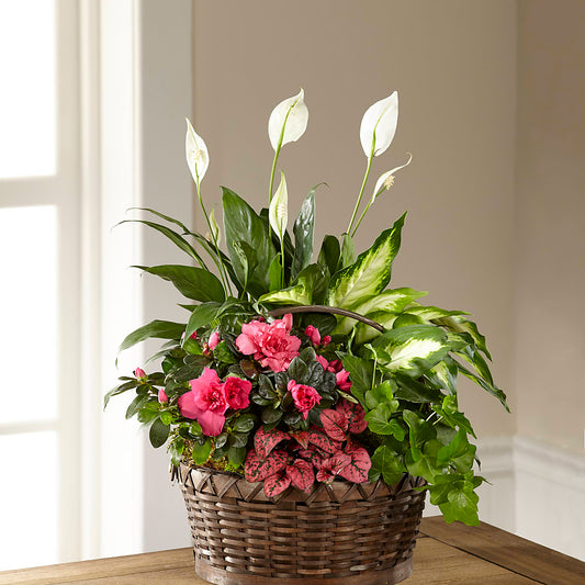 Dream in Pink Dishgarden – LESLIE'S FLOWERS & PARTY SUPPLIES, Howell NJ