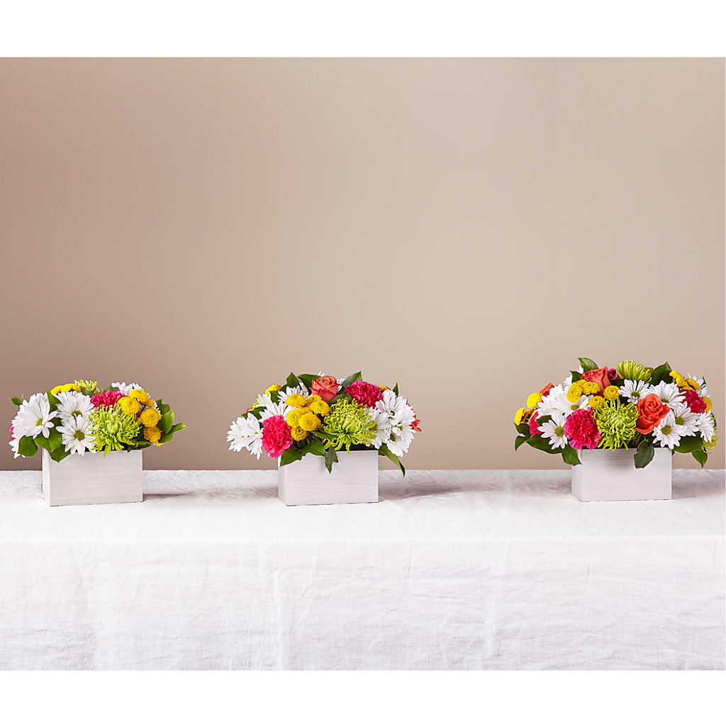 Sorbet Bouquet – LESLIE'S FLOWERS & PARTY SUPPLIES, Howell NJ
