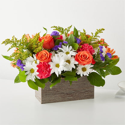 Oopsie Daisy Box Bouquet – LESLIE'S FLOWERS & PARTY SUPPLIES, Howell NJ