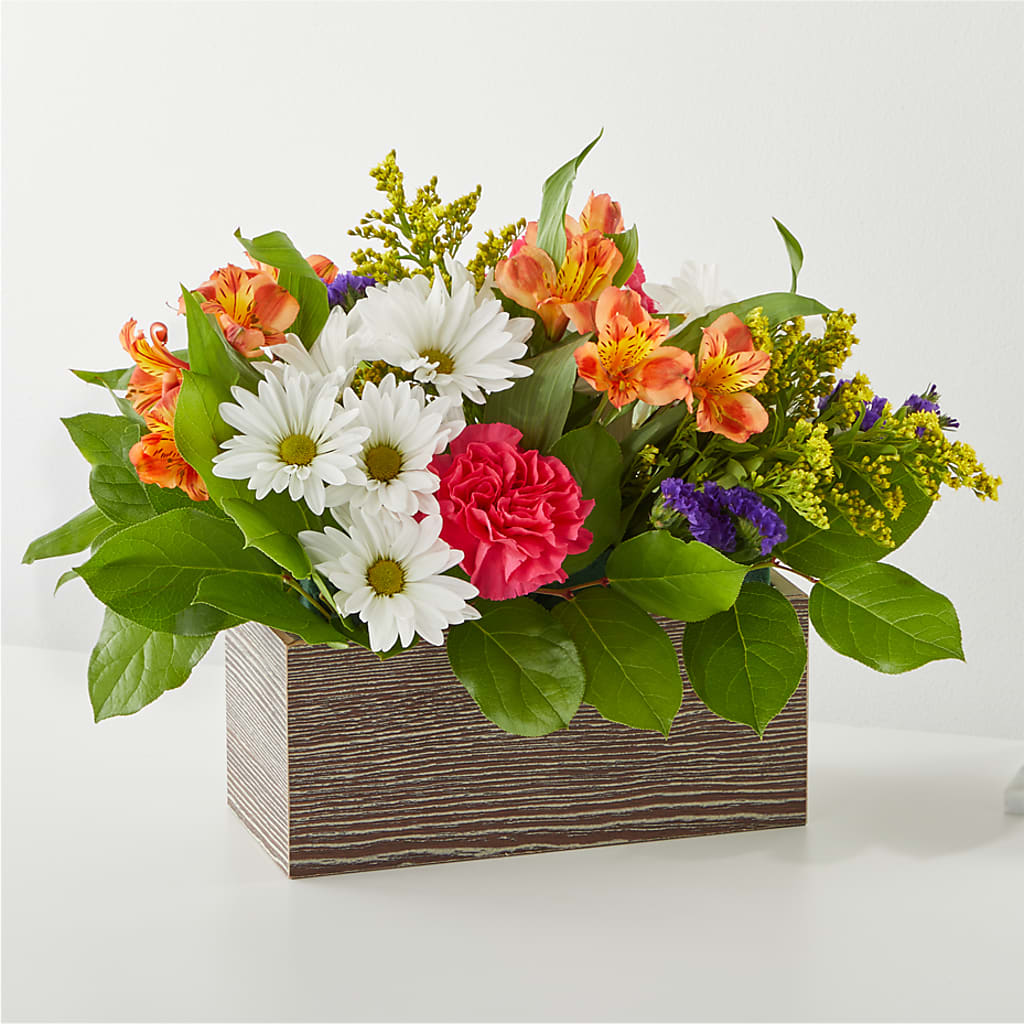 Oopsie Daisy Box Bouquet – LESLIE'S FLOWERS & PARTY SUPPLIES, Howell NJ