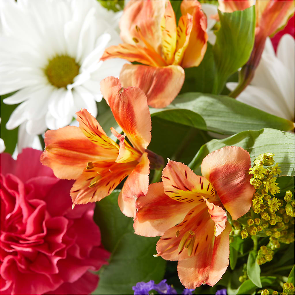 Oopsie Daisy Box Bouquet – LESLIE'S FLOWERS & PARTY SUPPLIES, Howell NJ