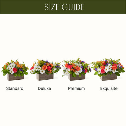 Oopsie Daisy Box Bouquet – LESLIE'S FLOWERS & PARTY SUPPLIES, Howell NJ