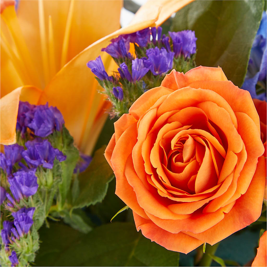 Radiant Citrus Box Bouquet – LESLIE'S FLOWERS & PARTY SUPPLIES, Howell NJ