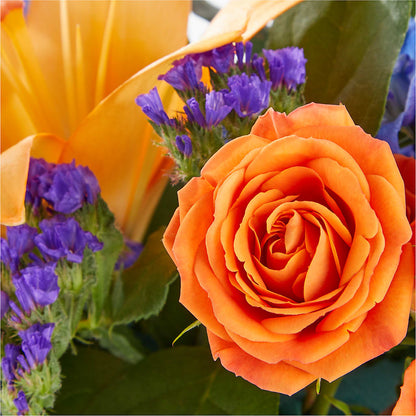 Radiant Citrus Box Bouquet – LESLIE'S FLOWERS & PARTY SUPPLIES, Howell NJ