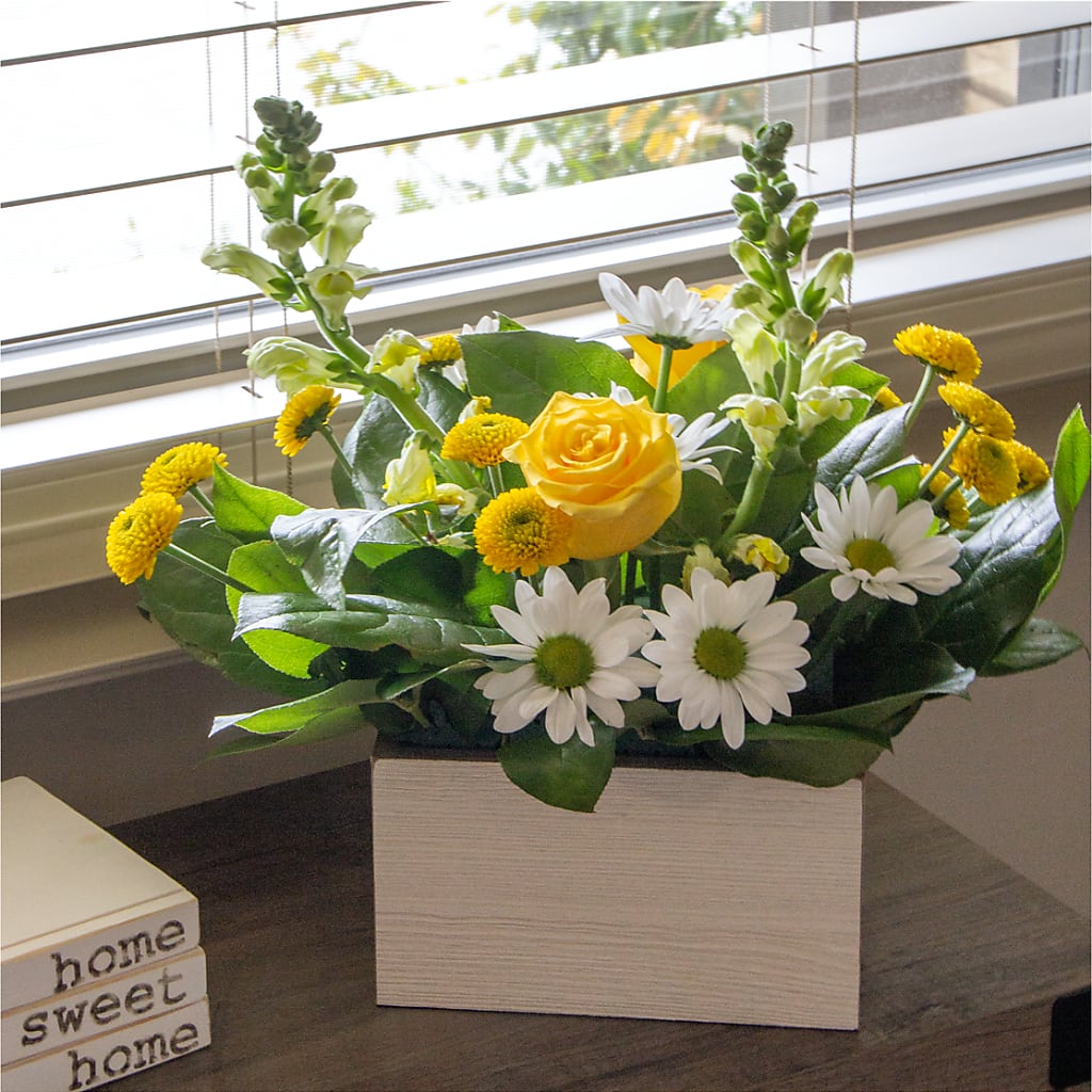 Sun Salutation Box Bouquet – LESLIE'S FLOWERS & PARTY SUPPLIES, Howell NJ