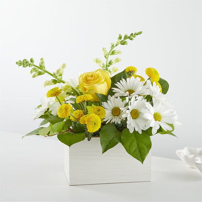 Sun Salutation Box Bouquet – LESLIE'S FLOWERS & PARTY SUPPLIES, Howell NJ
