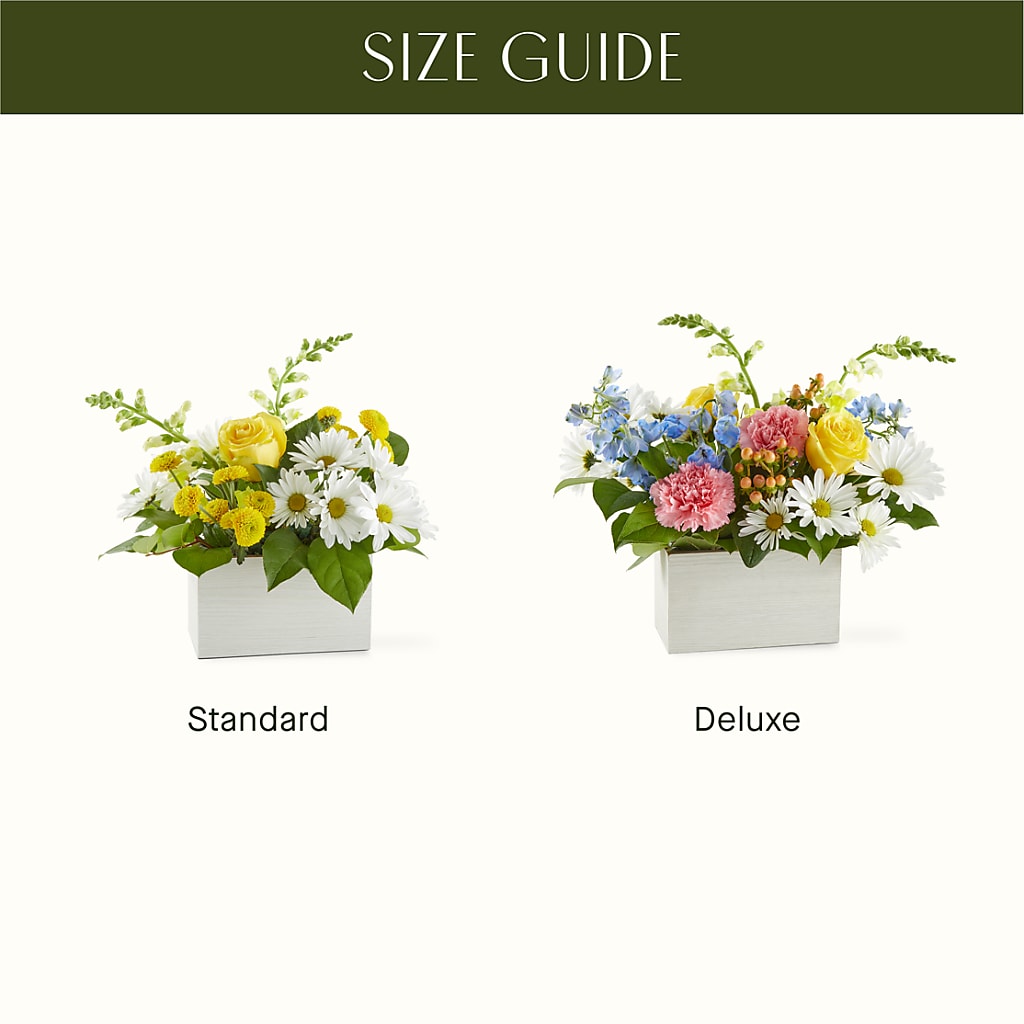 Sun Salutation Box Bouquet – LESLIE'S FLOWERS & PARTY SUPPLIES, Howell NJ