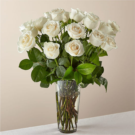 Long Stem White Rose Bouquet – LESLIE'S FLOWERS & PARTY SUPPLIES, Howell NJ
