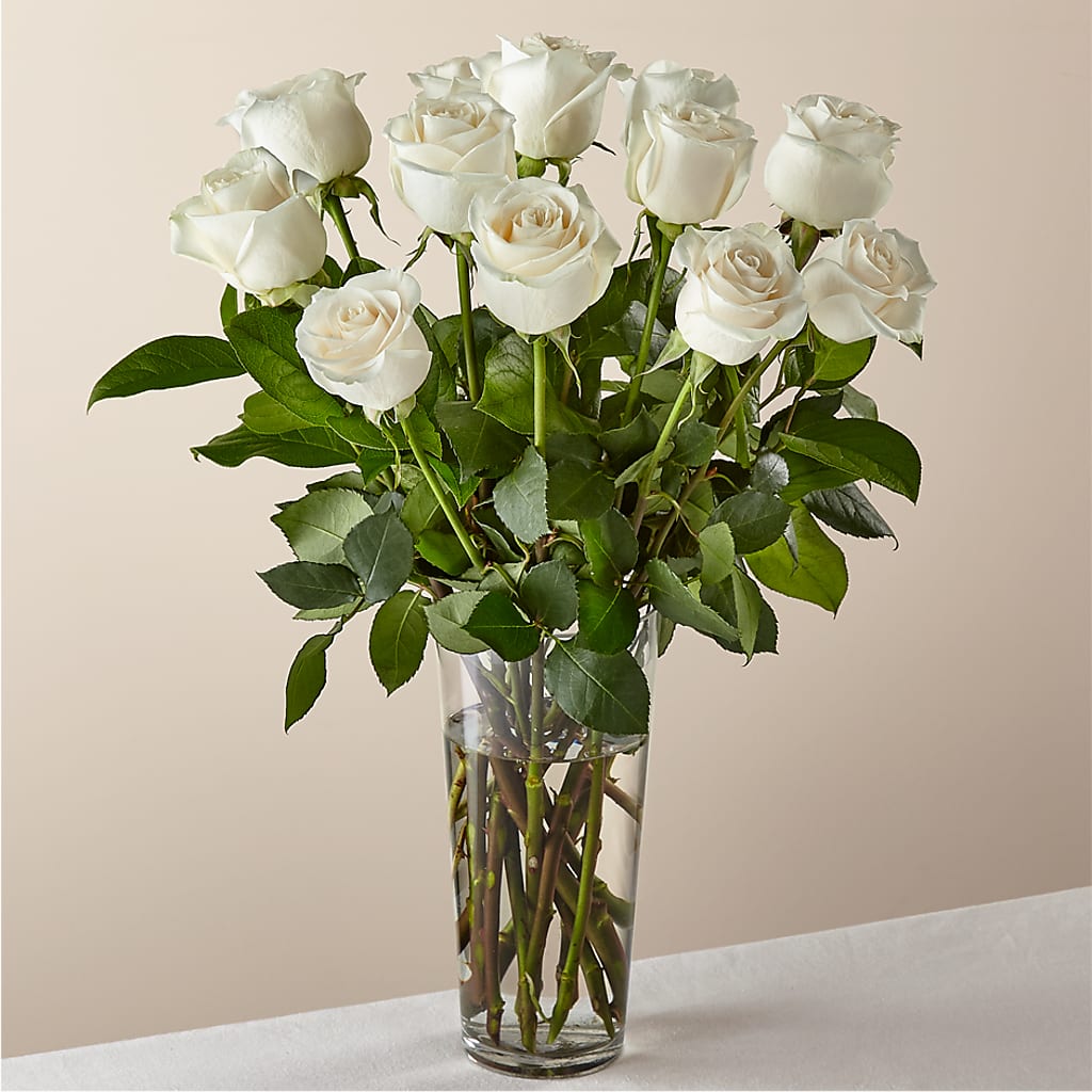 Long Stem White Rose Bouquet – LESLIE'S FLOWERS & PARTY SUPPLIES, Howell NJ