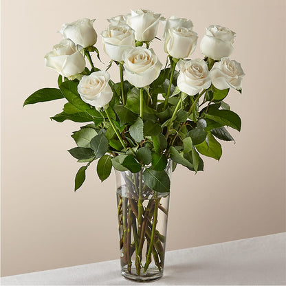 Long Stem White Rose Bouquet – LESLIE'S FLOWERS & PARTY SUPPLIES, Howell NJ
