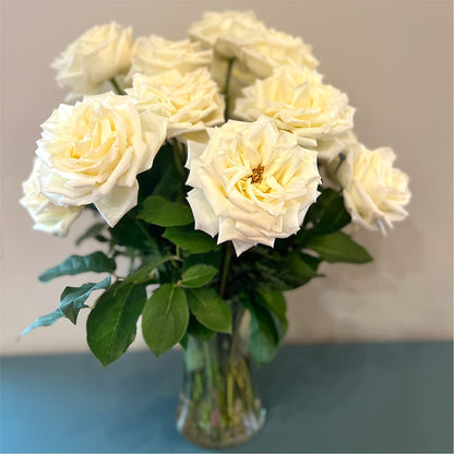 Long Stem Yellow Rose Bouquet – LESLIE'S FLOWERS & PARTY SUPPLIES, Howell NJ