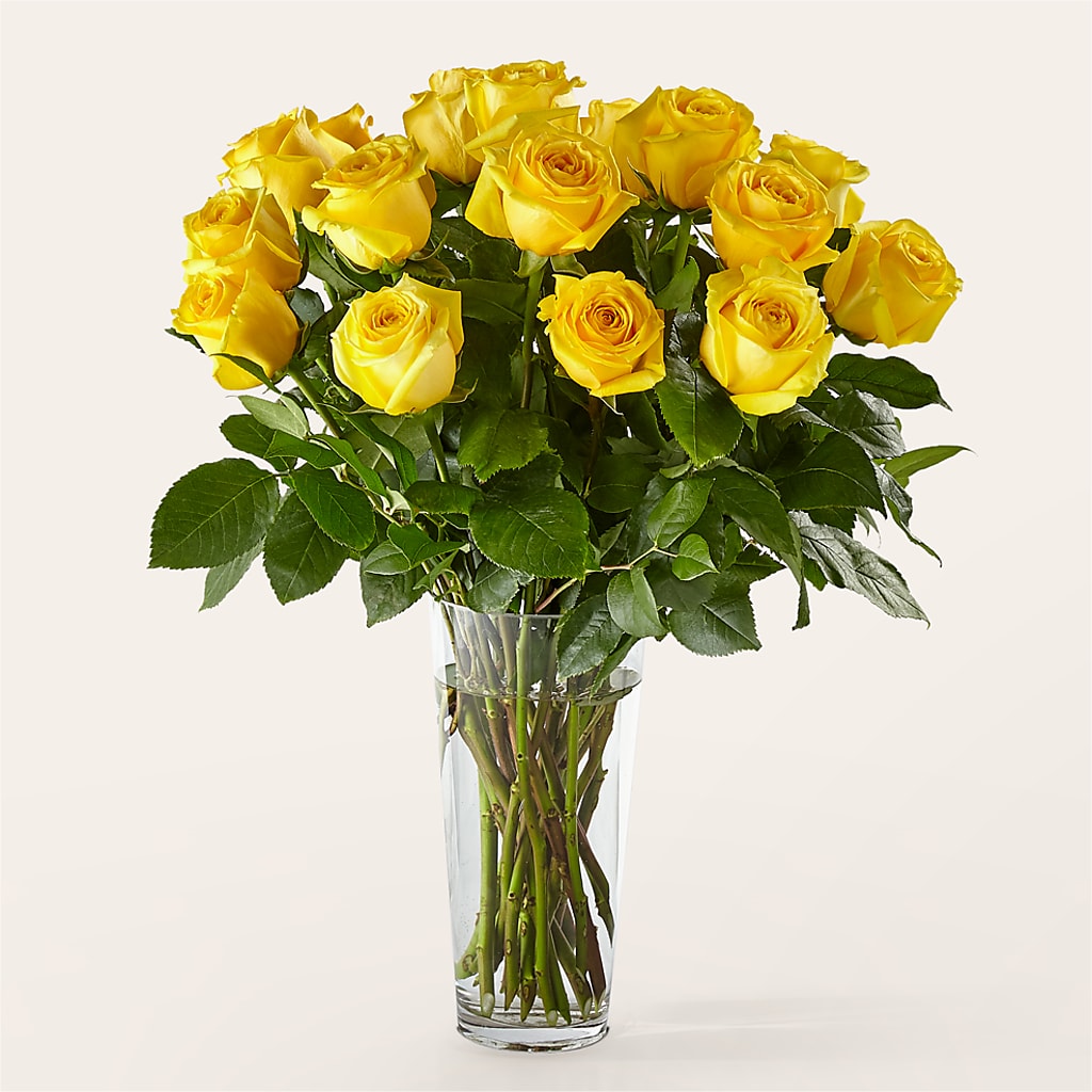 Long Stem Yellow Rose Bouquet – LESLIE'S FLOWERS & PARTY SUPPLIES, Howell NJ