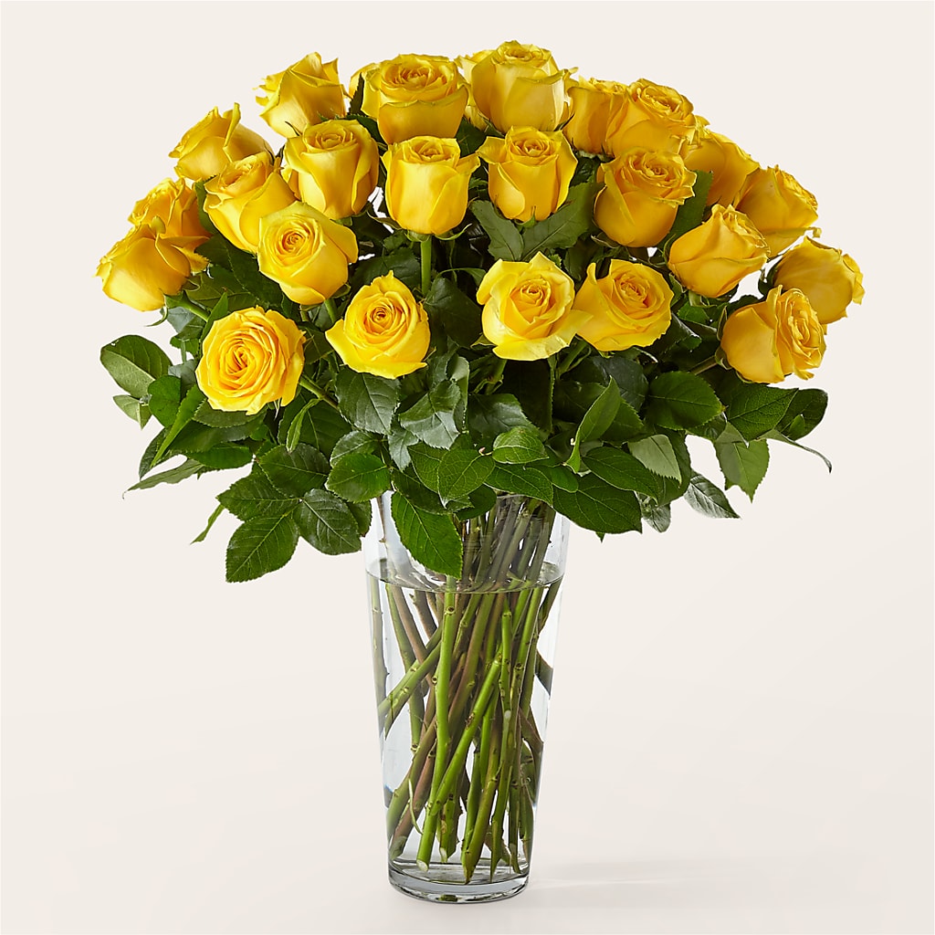 Long Stem Yellow Rose Bouquet – LESLIE'S FLOWERS & PARTY SUPPLIES, Howell NJ