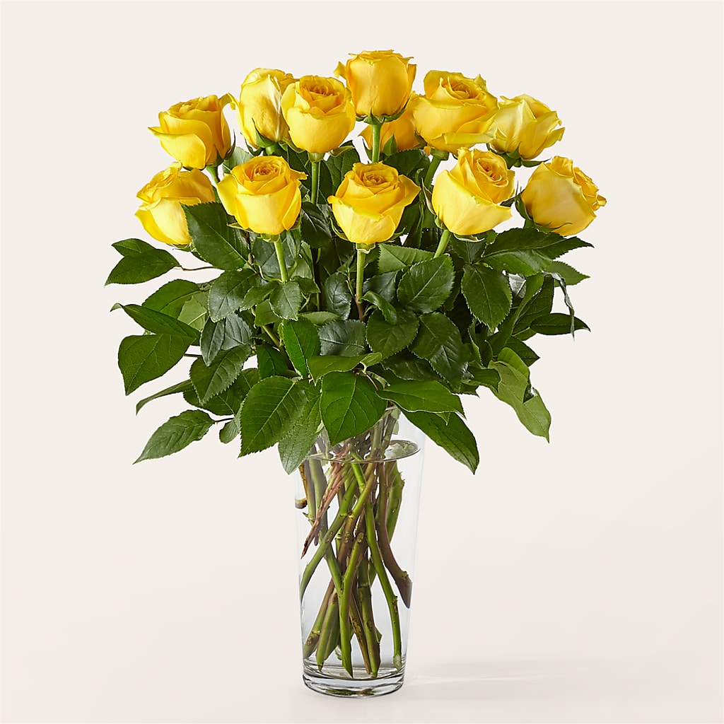 Long Stem Yellow Rose Bouquet – LESLIE'S FLOWERS & PARTY SUPPLIES, Howell NJ