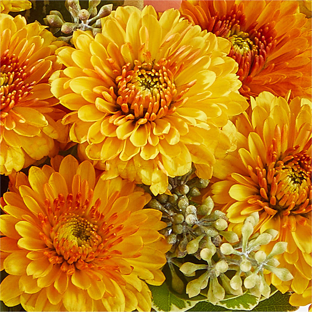 Peachy Pumpkin – LESLIE'S FLOWERS & PARTY SUPPLIES, Howell NJ