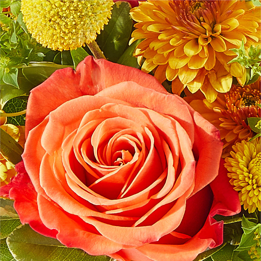 Gourdgeous Pumpkin – LESLIE'S FLOWERS & PARTY SUPPLIES, Howell NJ