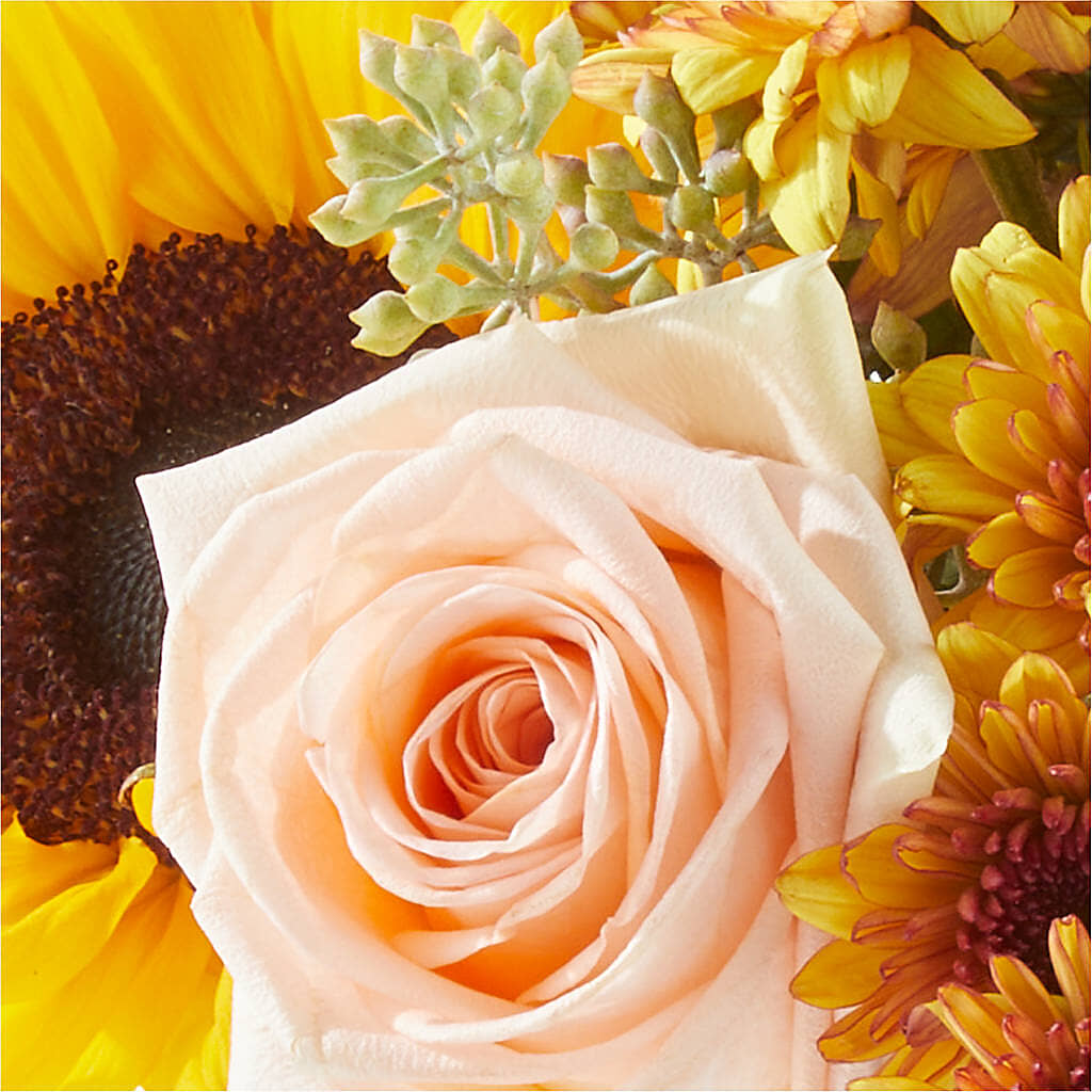 Pumpkin to Talk About Bouquet – LESLIE'S FLOWERS & PARTY SUPPLIES, Howell NJ
