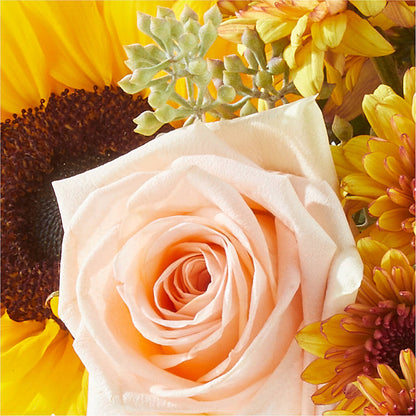 Pumpkin to Talk About Bouquet – LESLIE'S FLOWERS & PARTY SUPPLIES, Howell NJ