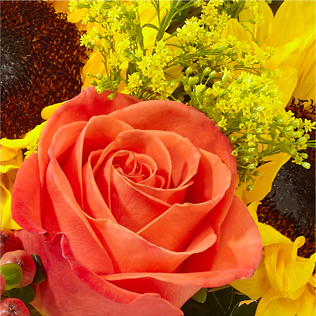 Pick of the Patch Pumpkin Bouquet – LESLIE'S FLOWERS & PARTY SUPPLIES, Howell NJ