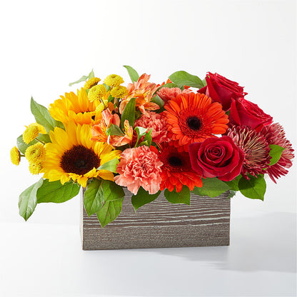 Autumn Orchard Bouquet – LESLIE'S FLOWERS & PARTY SUPPLIES, Howell NJ