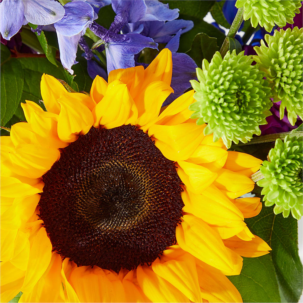 Catching Rays Bouquet – LESLIE'S FLOWERS & PARTY SUPPLIES, Howell NJ