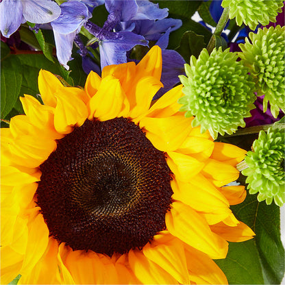 Catching Rays Bouquet – LESLIE'S FLOWERS & PARTY SUPPLIES, Howell NJ