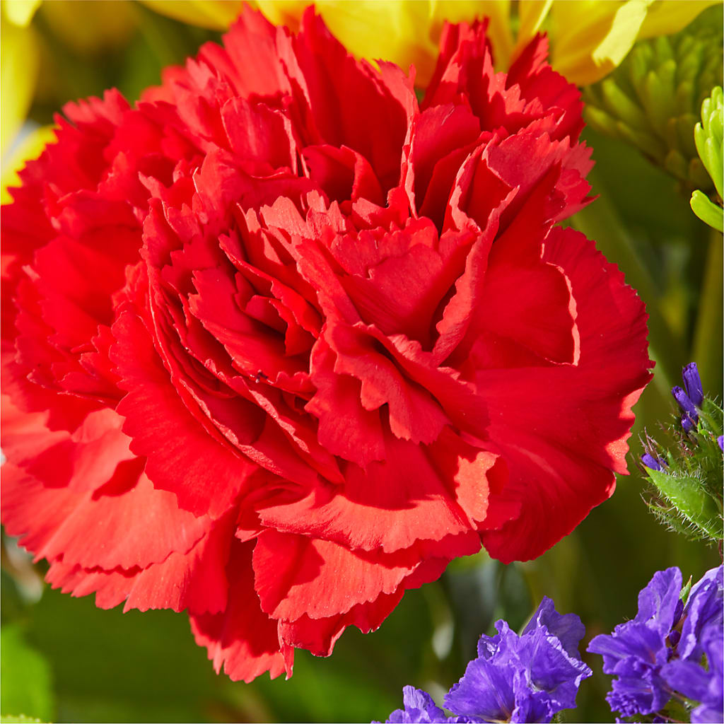 Brighter Days Bouquet – LESLIE'S FLOWERS & PARTY SUPPLIES, Howell NJ