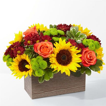Happy Harvest Garden – LESLIE'S FLOWERS & PARTY SUPPLIES, Howell NJ