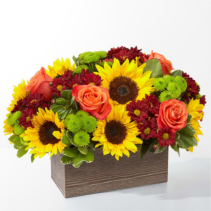 Happy Harvest Garden – LESLIE'S FLOWERS & PARTY SUPPLIES, Howell NJ