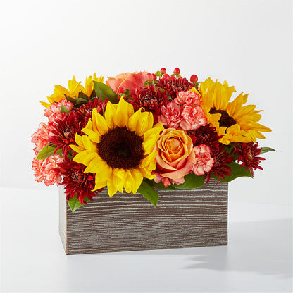 Fresh Cider Bouquet – LESLIE'S FLOWERS & PARTY SUPPLIES, Howell NJ