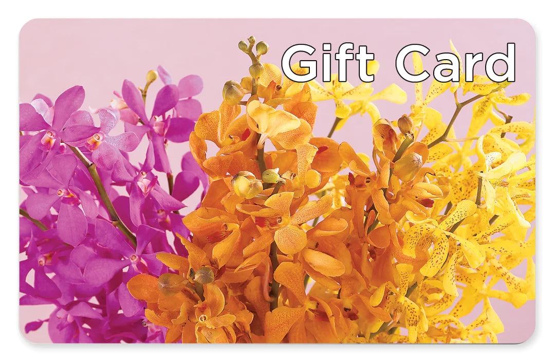 Gift Card – LESLIE'S FLOWERS & PARTY SUPPLIES, Howell NJ