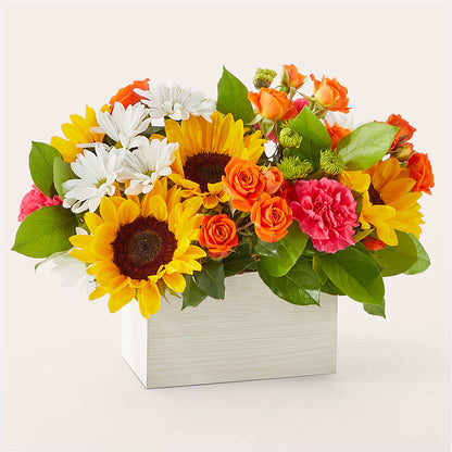 Sun-drenched Blooms Box Bouquet – LESLIE'S FLOWERS & PARTY SUPPLIES, Howell NJ