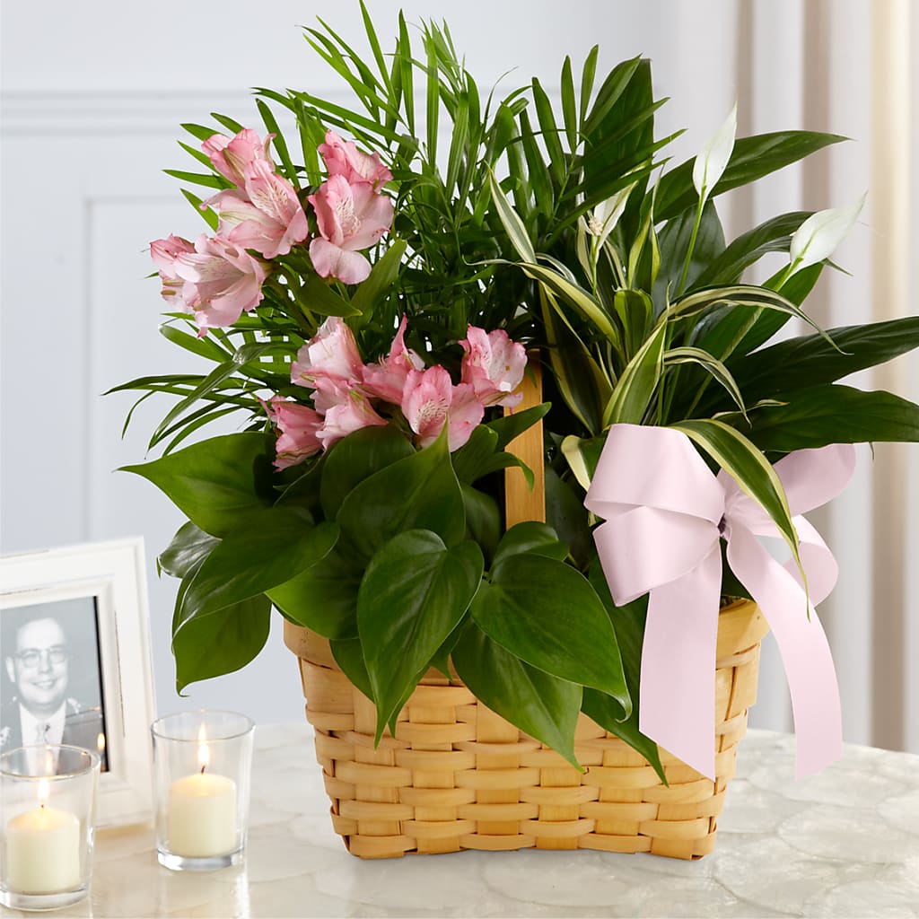 Living Spirit Dishgarden – LESLIE'S FLOWERS & PARTY SUPPLIES, Howell NJ
