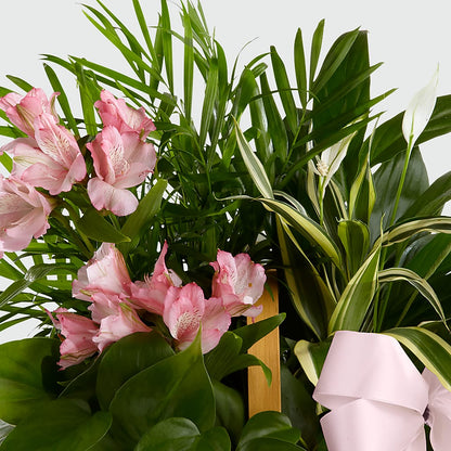 Living Spirit Dishgarden – LESLIE'S FLOWERS & PARTY SUPPLIES, Howell NJ