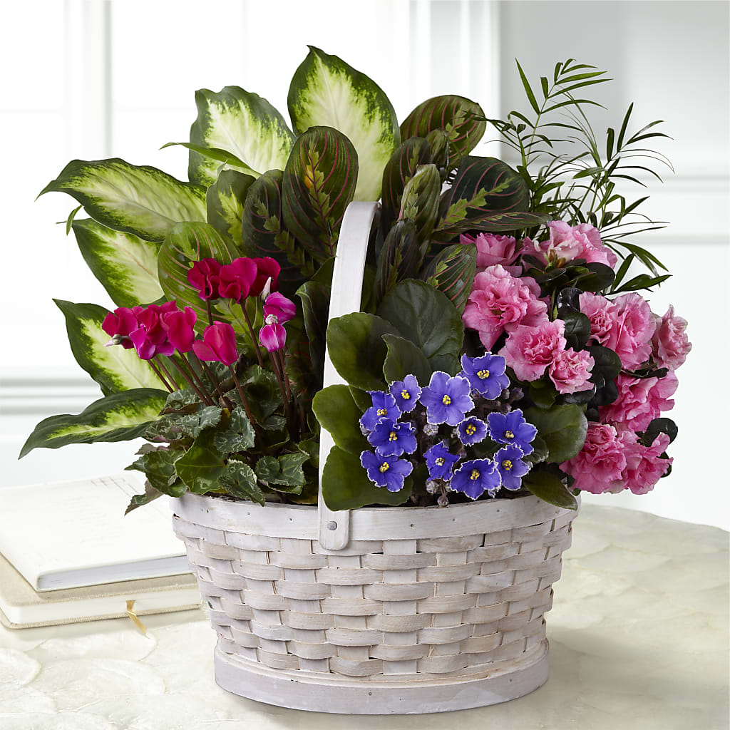 Peaceful Garden Planter – LESLIE'S FLOWERS & PARTY SUPPLIES, Howell NJ
