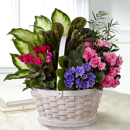 Peaceful Garden Planter – LESLIE'S FLOWERS & PARTY SUPPLIES, Howell NJ